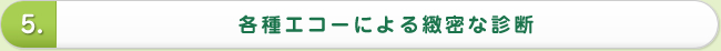 各種エコーによる緻密な診断